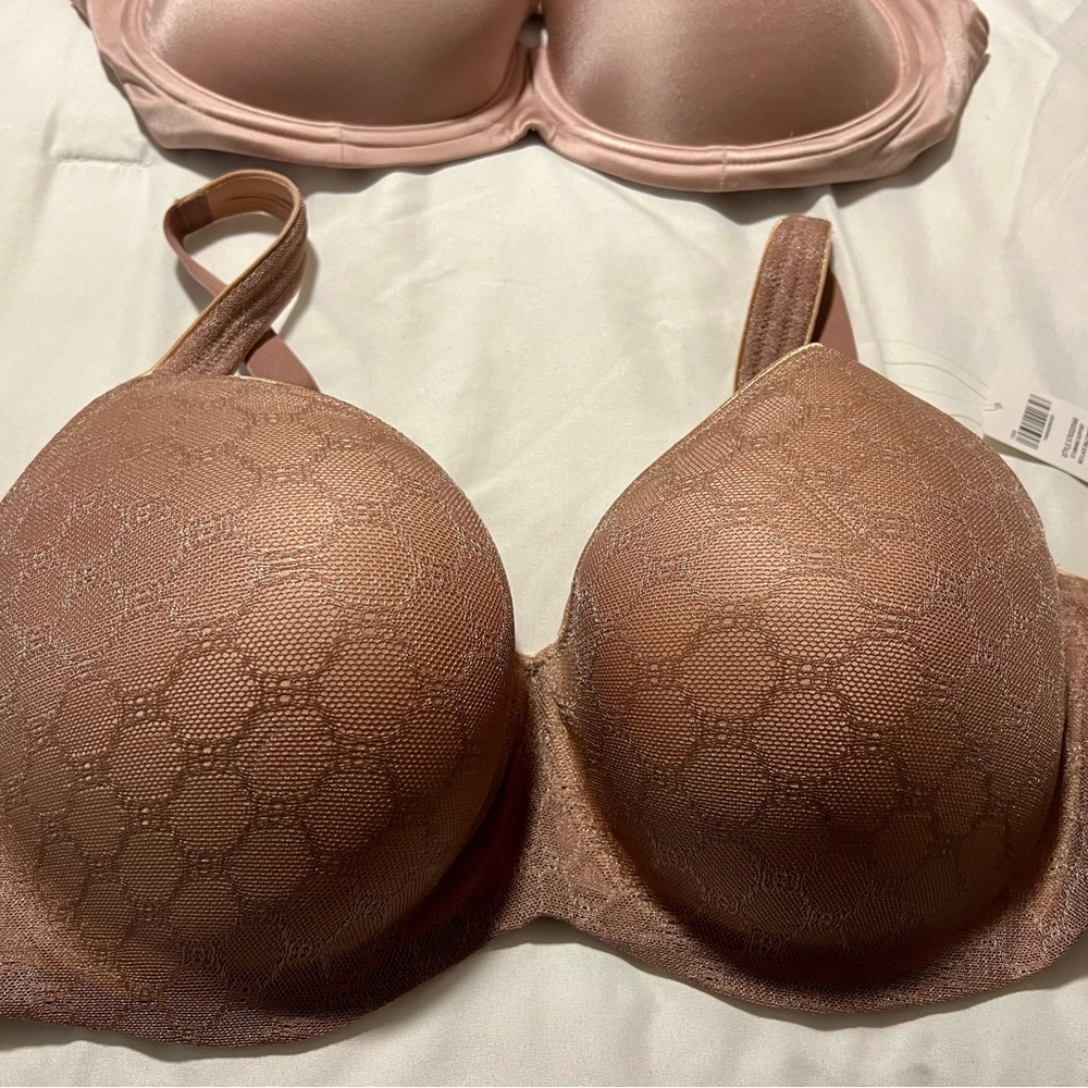 Elegant Brown Bra